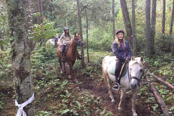 Two riders enjoying a trail ride